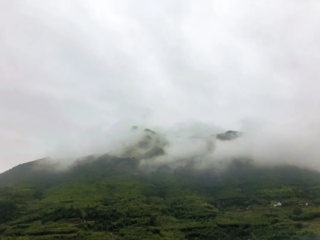 微信图片_20230511164500